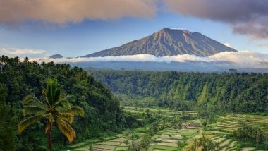 Montañas y palmas en Bali Fondo de pantalla
