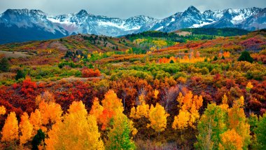 Mountains and forest in autumn Wallpaper
