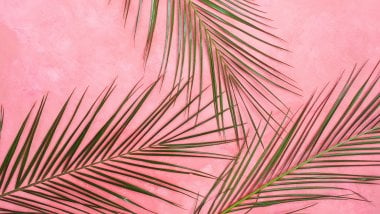 Palms in pastel pink wall Wallpaper