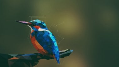 Abstract Bird Digital Art Wallpaper
