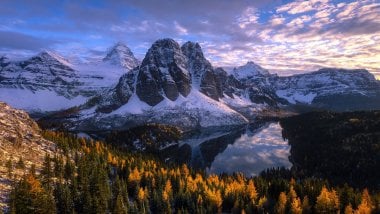 Mountains with snow in the forest Wallpaper