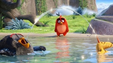 Red, Chuck and Bomb from  Angry Birds in the water Wallpaper
