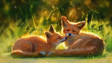 Foxes in the sun Wallpaper