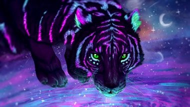 Neon Tiger Artwork Wallpaper