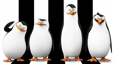 Pingüinos de Madagascar Fondo de pantalla