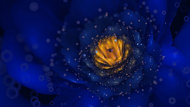 Digital blue flower up close Wallpaper