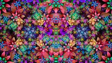 Flower Pattern of colors Wallpaper