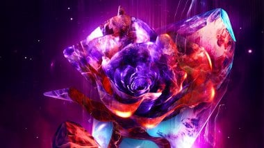 Rose with fire abstract Wallpaper