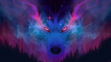 Wolf in the sky of forest Wallpaper