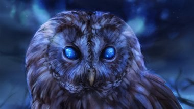 Owl Artwork Wallpaper