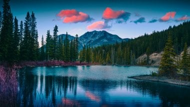 Pine trees and mountains at sunset Wallpaper