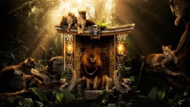 King of the jungle Wallpaper