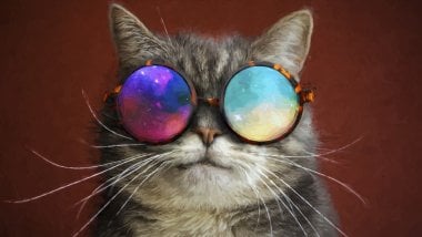 Gato con lentes de galaxia Fondo de pantalla