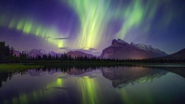 Auroras Polares en bosque junto a lago y montañas Fondo de pantalla