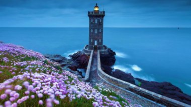 Lighthouse at the sea with flowers Wallpaper
