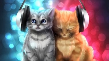 Kittens listening to music Wallpaper