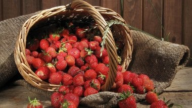 Strawberries in a basket Wallpaper