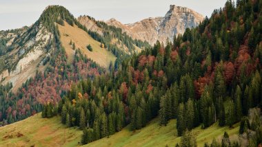 Mountains in forest during fall Wallpaper