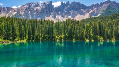Forest with blue watered lake and mountains Wallpaper