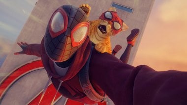 Spiderman y Spidercat Fondo de pantalla