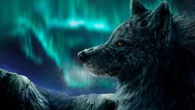 Lobo con aurora polar de fondo Fondo de pantalla