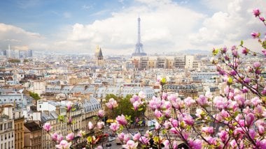 Paisaje de Paris con flores Fondo de pantalla