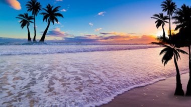 Sunset in the beach with palm trees Wallpaper