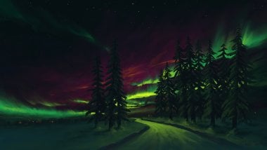 Aurora Borealis in the forest Wallpaper