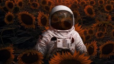 Astronaut in sunflower field Wallpaper