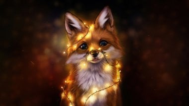 Fox tangled in lights Wallpaper