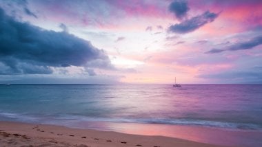 Pink sunset on the beach Wallpaper