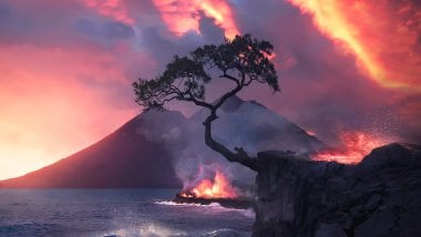 Fire in the woods next to the sea Wallpaper