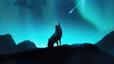 Lobo aullando en las estrellas Fondo de pantalla