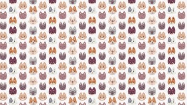 Animal Pattern Wallpaper