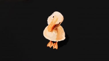 Duckling with tilted head Wallpaper