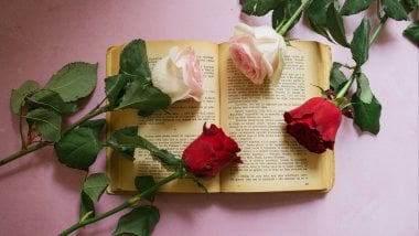 Roses on top of book Wallpaper