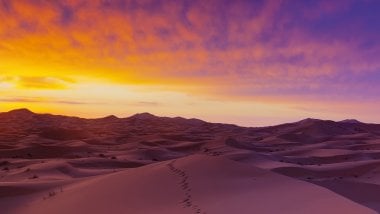 Sand dunes in the Sahara Wallpaper