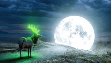 Magical Reindeer next to the moon Wallpaper