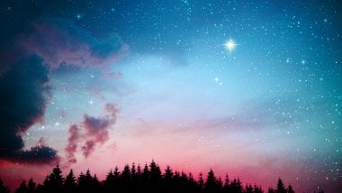 Galaxy over forest Wallpaper