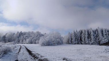 Snowy scenery Wallpaper
