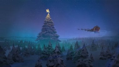 Christmas tree in the middle of the forest Wallpaper