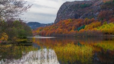 Lago en bosque durante el otoño Fondo de pantalla