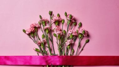 Pink flowers bouquet Wallpaper