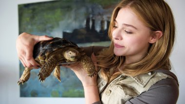 Chloe Moretz con una tortuga Fondo de pantalla