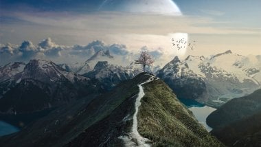 Moon through landscape Wallpaper