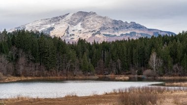 Bosque con lago y montañas Fondo de pantalla