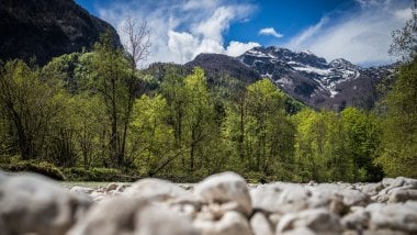 Rocks in the forest with mountains Wallpaper