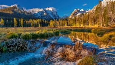 River in the forest in Idaho United States Wallpaper