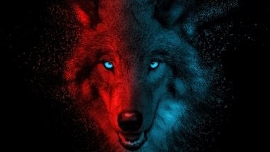 Lobo con luces rojas y azules Fondo de pantalla