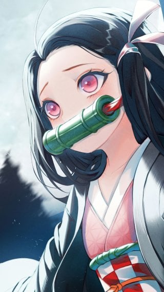Anime girl Wallpaper ID:12258